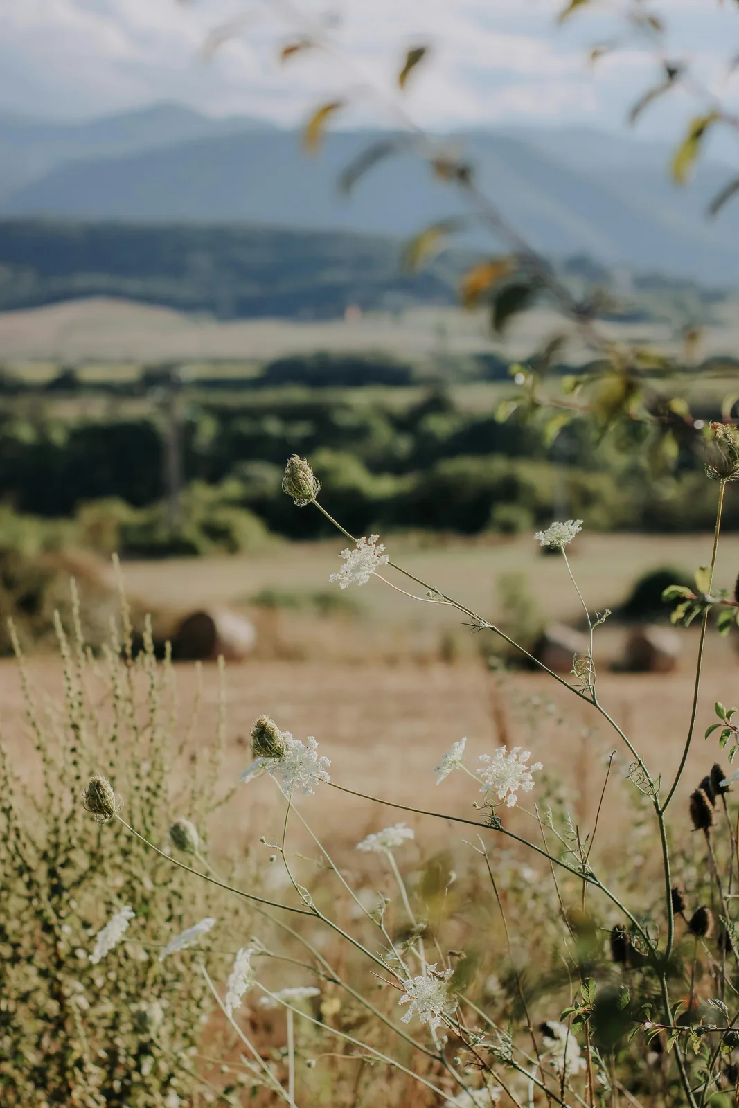 Métropole lyonnaise — territoire urbain et naturel