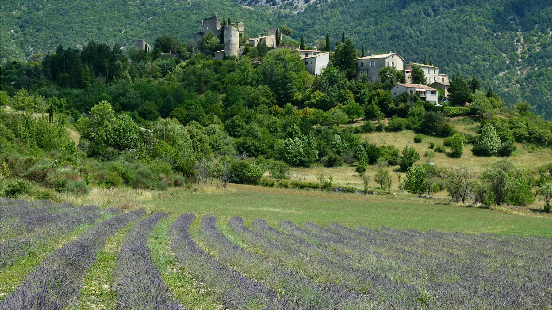 Territoire communal — paysage urbain et naturel
